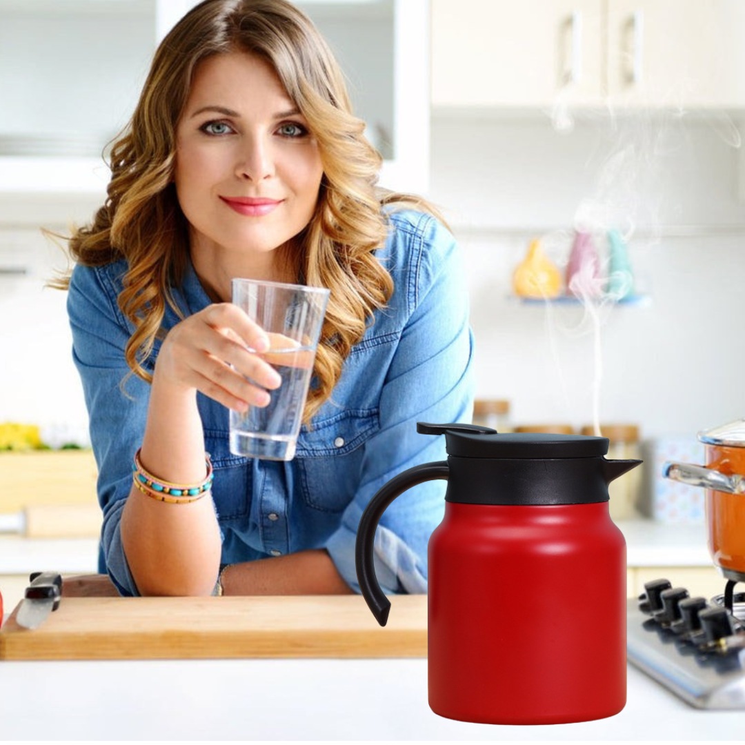 Imported Stainless Steel Teapot  Modern Design